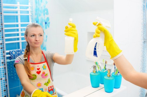 Professional carpet cleaning in a Bayswater family home living room
