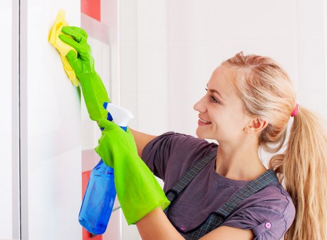 Professional oven cleaning service for Bayswater homes