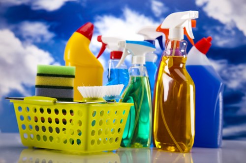 Deep carpet cleaning for pet stain removal in a Bayswater townhouse