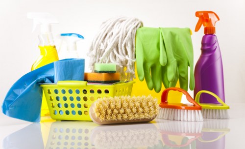 Bayswater Cleaner team focusing on safe and professional cleaning