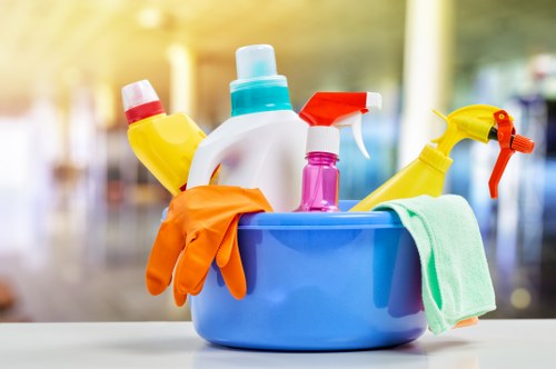 Domestic cleaner working in a Bayswater flat kitchen