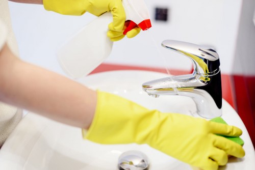 Reliable Bayswater cleaner creating a fresh and organized environment