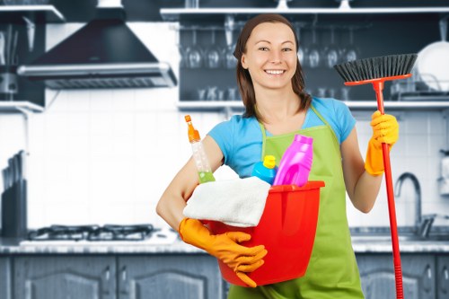Bayswater Cleaner service overview with focus on professional cleaning values