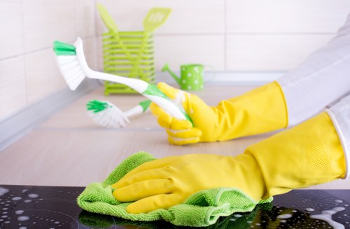 Weekly cleaning tasks for a Bayswater kitchen and bathroom