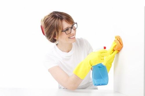 Professional carpet steam cleaning for a Bayswater apartment