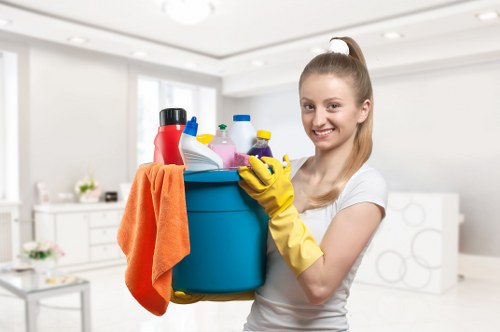 Professional house cleaning in a Bayswater living room