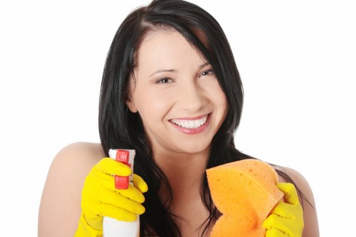 Legal terms document for Bayswater Cleaner service agreement