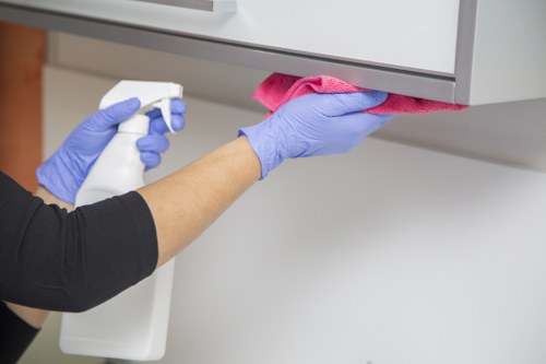 Local oven cleaning for apartments and family homes in Bayswater
