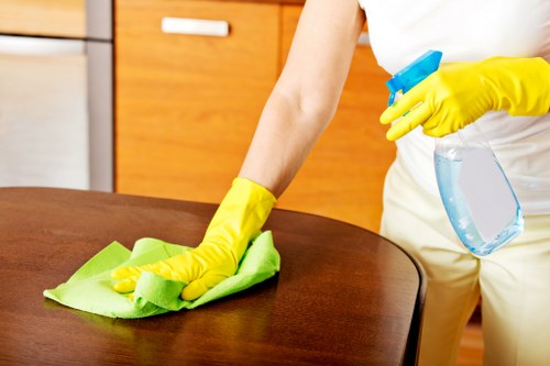 Local cleaners working in a Bayswater flat with access considerations